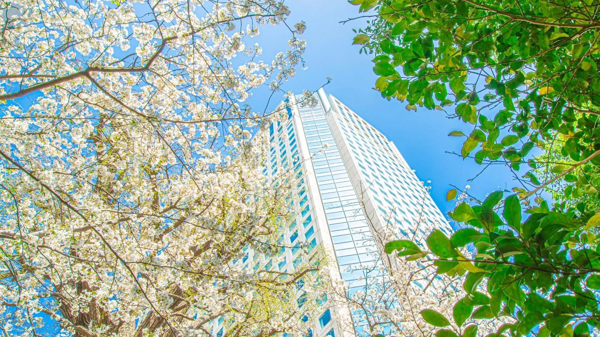 Shinagawa Prince Hotel Tokyo